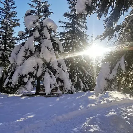 6 Galaxie A La Montagne *